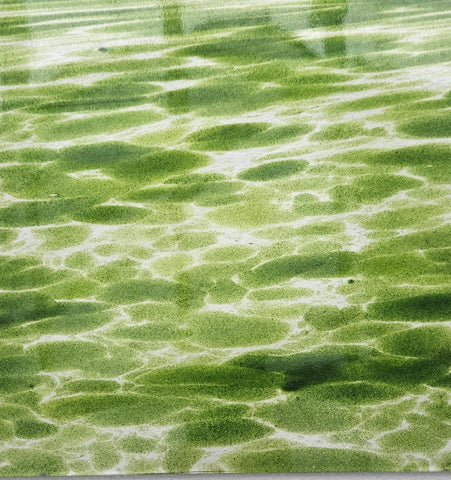 Fused Glass Supplies - Odyssey Green Aventurine Spirit and Clear Opal Art Sheet Glass 96 COE