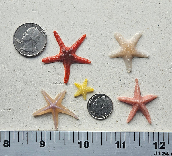 COE 96 Fusible Glass Sea Life / Ocean Creatures for Your Fused Glass Projects