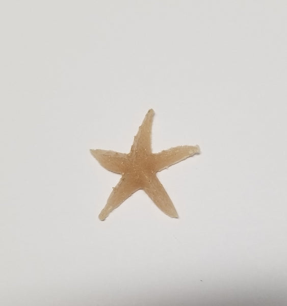 COE 96 Fusible Glass Sea Life / Ocean Creatures for Your Fused Glass Projects