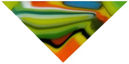 Tropical Decal Water Slide