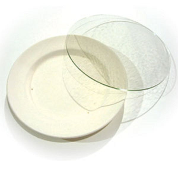 Wissmach Clear 10 Inch Fusible Glass Circle / Round - 90 COE