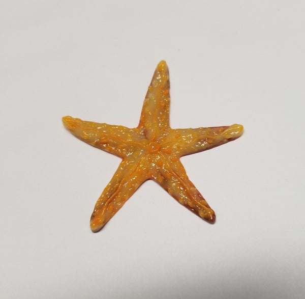 COE 96 Fusible Glass Sea Life / Ocean Creatures for Your Fused Glass Projects